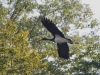 Filename=0473_fotowilga.JPG
Filesize=360KB
Dimensions=700x525
Date added=Sep 14, 2019 0473_fotowilga.JPG
