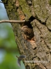 047_fotowilga~14.JPG
