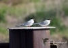 Filename=047_fotowilga~28.JPG
Filesize=64KB
Dimensions=640x457
Date added=Aug 06, 2016 047_fotowilga~28.JPG