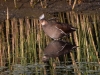 Filename=0489_fotowilga~26.JPG
Filesize=343KB
Dimensions=700x525
Date added=Oct 22, 2019 0489_fotowilga~26.JPG