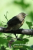 Filename=048_fotowilga~45.JPG
Filesize=68KB
Dimensions=320x480
Date added=Jun 09, 2017 048_fotowilga~45.JPG