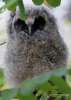 Filename=048_fotowilga~48.JPG
Filesize=248KB
Dimensions=499x700
Date added=Jun 29, 2017 048_fotowilga~48.JPG