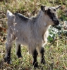 Filename=048_fotowilga~62.JPG
Filesize=487KB
Dimensions=665x700
Date added=Mar 10, 2019 048_fotowilga~62.JPG