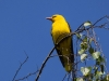 Filename=048_fotowilga~66.JPG
Filesize=246KB
Dimensions=700x525
Date added=May 25, 2019 048_fotowilga~66.JPG