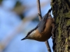 Filename=048_fotowilga~68.JPG
Filesize=243KB
Dimensions=700x525
Date added=Jul 04, 2019 048_fotowilga~68.JPG