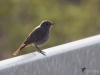 Filename=048_fotowilga~69.JPG
Filesize=207KB
Dimensions=700x525
Date added=Aug 05, 2019 048_fotowilga~69.JPG