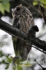 Filename=049_fotowilga~29.JPG
Filesize=76KB
Dimensions=320x480
Date added=Jan 08, 2016 049_fotowilga~29.JPG