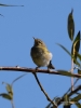 Filename=049_fotowilga~48.JPG
Filesize=204KB
Dimensions=525x700
Date added=Sep 06, 2017 049_fotowilga~48.JPG