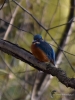 Filename=049_fotowilga~53.JPG
Filesize=262KB
Dimensions=525x700
Date added=Dec 11, 2017 049_fotowilga~53.JPG