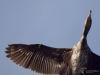 Filename=049_fotowilga~62.JPG
Filesize=233KB
Dimensions=700x525
Date added=Mar 16, 2019 049_fotowilga~62.JPG