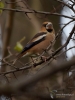 Filename=049_fotowilga~67.JPG
Filesize=247KB
Dimensions=525x700
Date added=Oct 05, 2019 049_fotowilga~67.JPG