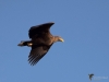 Filename=0501_fotowilga~17.JPG
Filesize=214KB
Dimensions=700x525
Date added=Feb 04, 2019 0501_fotowilga~17.JPG