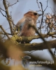 Filename=050_fotowilga~24.JPG
Filesize=84KB
Dimensions=384x480
Date added=Apr 06, 2016 050_fotowilga~24.JPG