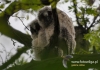 Filename=050_fotowilga~28.JPG
Filesize=103KB
Dimensions=640x452
Date added=Jul 21, 2016 050_fotowilga~28.JPG