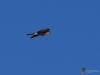 Filename=050_fotowilga~30.JPG
Filesize=137KB
Dimensions=700x525
Date added=Mar 17, 2018 050_fotowilga~30.JPG