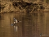 Filename=050_fotowilga~37.JPG
Filesize=272KB
Dimensions=700x525
Date added=Feb 10, 2019 050_fotowilga~37.JPG