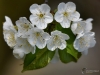 Filename=050_fotowilga~52.JPG
Filesize=245KB
Dimensions=700x525
Date added=Apr 17, 2018 050_fotowilga~52.JPG