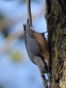 Filename=050_fotowilga~59.JPG
Filesize=243KB
Dimensions=525x700
Date added=Jul 04, 2019 050_fotowilga~59.JPG