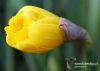 Filename=050_fotowilga~9.JPG
Filesize=91KB
Dimensions=720x514
Date added=May 13, 2014 050_fotowilga~9.JPG