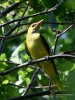Filename=0510_fotowilga.JPG
Filesize=303KB
Dimensions=525x700
Date added=Jun 16, 2019 0510_fotowilga.JPG