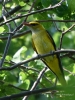 Filename=0514_fotowilga~0.JPG
Filesize=330KB
Dimensions=525x700
Date added=Jun 17, 2019 0514_fotowilga~0.JPG