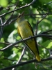 Filename=0516_fotowilga~0.JPG
Filesize=300KB
Dimensions=525x700
Date added=Jun 16, 2019 0516_fotowilga~0.JPG