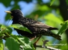 Filename=051_fotowilga~30.JPG
Filesize=87KB
Dimensions=640x475
Date added=May 11, 2016 051_fotowilga~30.JPG