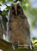 Filename=051_fotowilga~32.JPG
Filesize=64KB
Dimensions=357x480
Date added=Jun 25, 2016 051_fotowilga~32.JPG