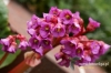 Filename=051_fotowilga~43.JPG
Filesize=89KB
Dimensions=640x427
Date added=Feb 19, 2017 051_fotowilga~43.JPG
