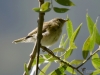Filename=051_fotowilga~50.JPG
Filesize=243KB
Dimensions=700x525
Date added=Sep 10, 2017 051_fotowilga~50.JPG