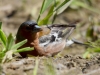 Filename=051_fotowilga~57.JPG
Filesize=252KB
Dimensions=700x525
Date added=Sep 04, 2018 051_fotowilga~57.JPG