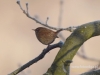 Filename=051_fotowilga~61.JPG
Filesize=57KB
Dimensions=640x480
Date added=Dec 02, 2018 051_fotowilga~61.JPG