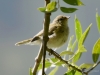 Filename=052_fotowilga~43.JPG
Filesize=244KB
Dimensions=700x525
Date added=Sep 06, 2017 052_fotowilga~43.JPG