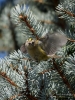 Filename=052_fotowilga~44.JPG
Filesize=352KB
Dimensions=525x700
Date added=Nov 21, 2017 052_fotowilga~44.JPG