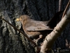 Filename=052_fotowilga~54.JPG
Filesize=333KB
Dimensions=700x525
Date added=Mar 01, 2019 052_fotowilga~54.JPG