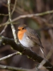 Filename=052_fotowilga~58.JPG
Filesize=246KB
Dimensions=525x700
Date added=May 08, 2019 052_fotowilga~58.JPG