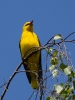 Filename=052_fotowilga~60.JPG
Filesize=243KB
Dimensions=525x700
Date added=May 26, 2019 052_fotowilga~60.JPG