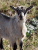 Filename=052_fotowilga~62.JPG
Filesize=295KB
Dimensions=525x700
Date added=Jul 09, 2019 052_fotowilga~62.JPG