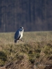 Filename=0530_fotowilga~16.JPG
Filesize=304KB
Dimensions=525x700
Date added=Jan 26, 2019 0530_fotowilga~16.JPG