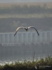 Filename=0532_fotowilga~12.JPG
Filesize=206KB
Dimensions=525x700
Date added=Jan 15, 2019 0532_fotowilga~12.JPG