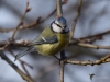Filename=0535_fotowilga.JPG
Filesize=235KB
Dimensions=700x525
Date added=Jul 22, 2019 0535_fotowilga.JPG