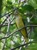 Filename=0536_fotowilga.JPG
Filesize=328KB
Dimensions=525x700
Date added=Jun 16, 2019 0536_fotowilga.JPG