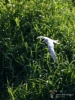 Filename=053_fotowilga~20.JPG
Filesize=284KB
Dimensions=525x700
Date added=Mar 22, 2019 053_fotowilga~20.JPG