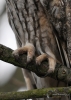 Filename=053_fotowilga~44.JPG
Filesize=295KB
Dimensions=499x700
Date added=Nov 07, 2017 053_fotowilga~44.JPG