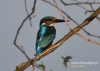 Filename=054_fotowilga~18.JPG
Filesize=84KB
Dimensions=640x457
Date added=Jul 16, 2015 054_fotowilga~18.JPG