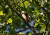 Filename=054_fotowilga~20.JPG
Filesize=114KB
Dimensions=640x457
Date added=Sep 23, 2015 054_fotowilga~20.JPG