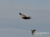 Filename=054_fotowilga~27.JPG
Filesize=49KB
Dimensions=640x480
Date added=Feb 10, 2016 054_fotowilga~27.JPG