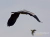Filename=054_fotowilga~38.JPG
Filesize=42KB
Dimensions=640x480
Date added=Nov 10, 2016 054_fotowilga~38.JPG