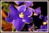Filename=054_fotowilga~5.JPG
Filesize=131KB
Dimensions=720x493
Date added=Mar 20, 2013 054_fotowilga~5.JPG
