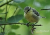 Filename=055_fotowilga~16.JPG
Filesize=82KB
Dimensions=640x457
Date added=Sep 21, 2015 055_fotowilga~16.JPG